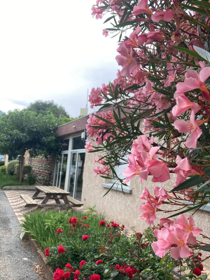 Amelia Camping Amélie-les-Bains-Palalda Exterior foto